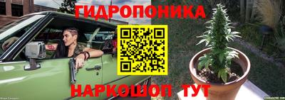дмт Бийск