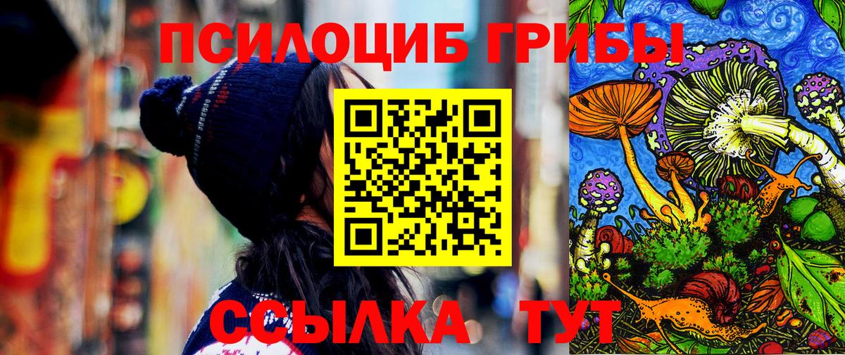 Псилоцибиновые грибы Psilocybine cubensis Зеленогорск