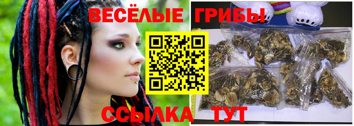 А ПВП СОЛЬ кристаллы  Гашиш  Вход с VPN  МЕФ   Зеленогорск  COCAIN  Бошки Шишки 