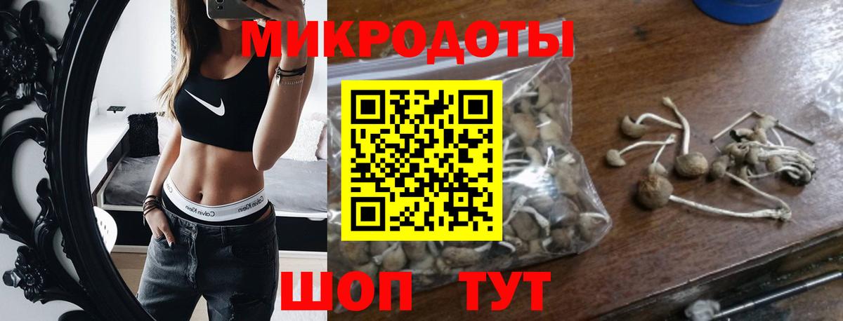 Псилоцибиновые грибы мухоморы  Вход с VPN  где найти наркотики  Галлюциногенные грибы мухоморы  Зеленогорск 